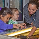 Aquarium Touch Tanks